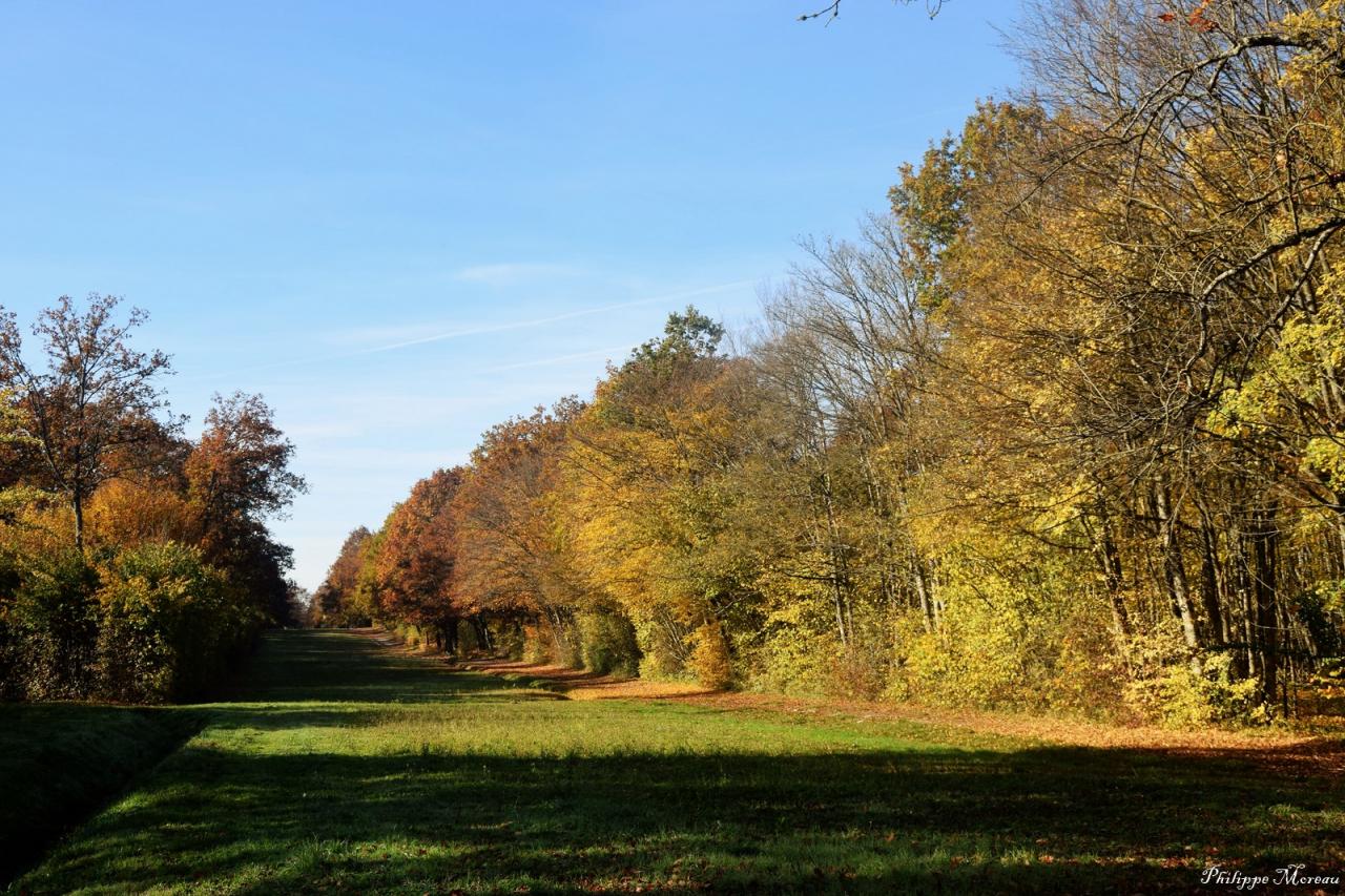 SHO-PHOTO La Canaudière (5)