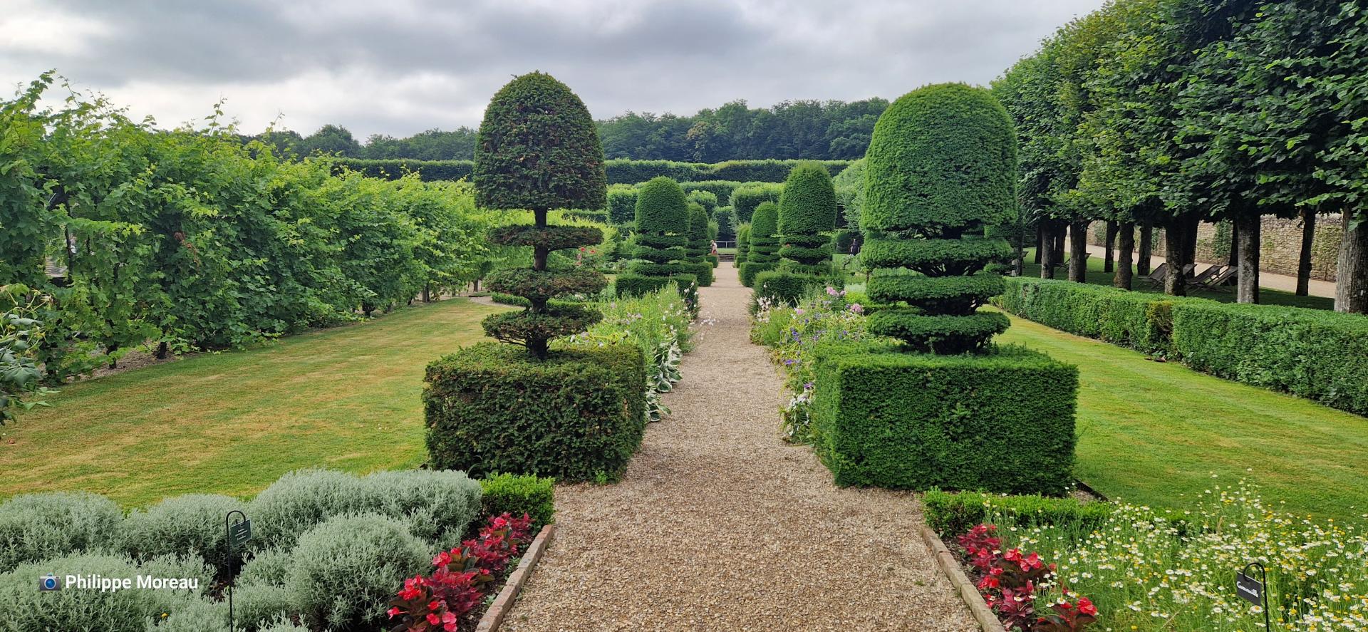 Le jardin des simples