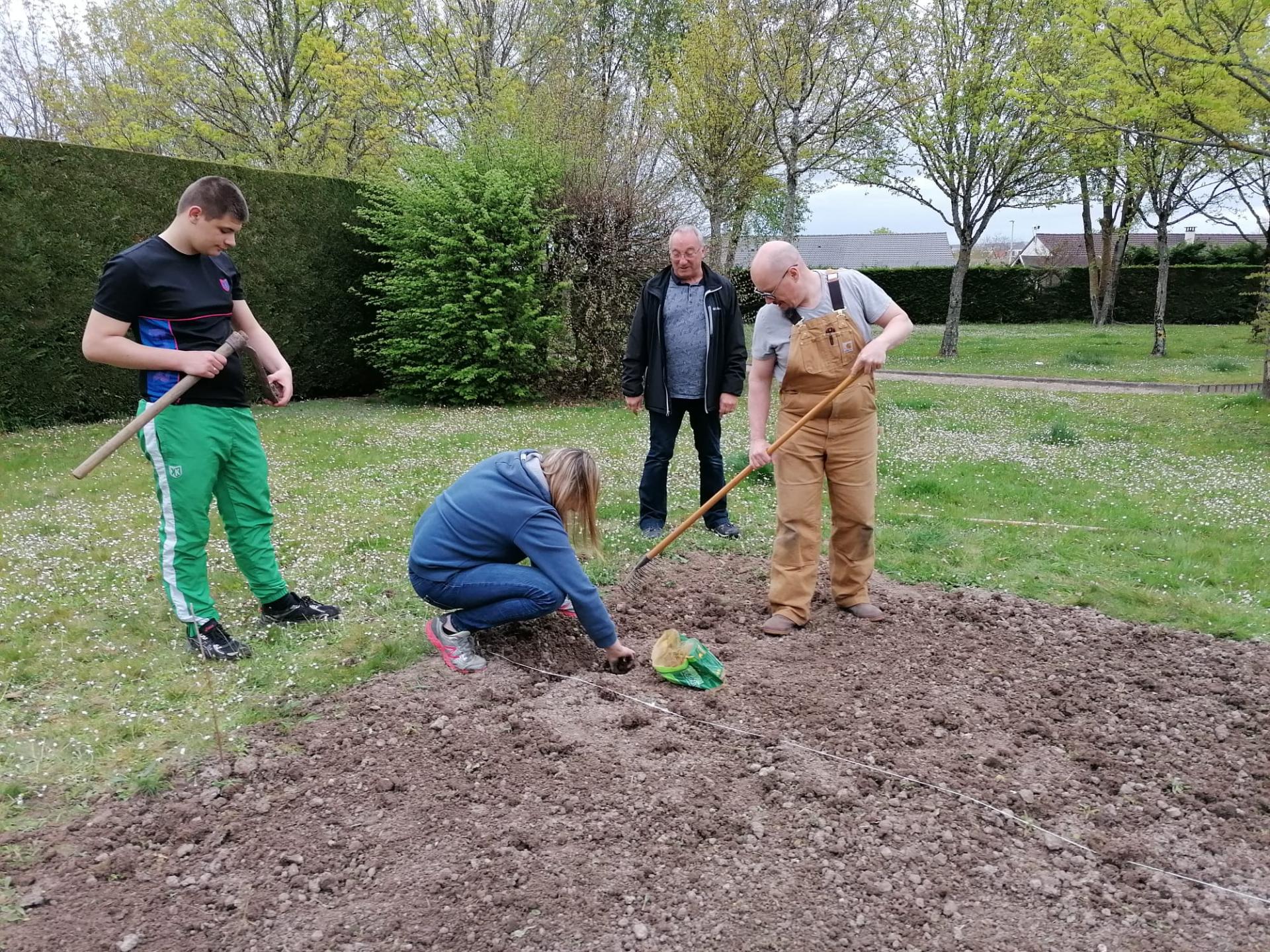 Plantage des patates